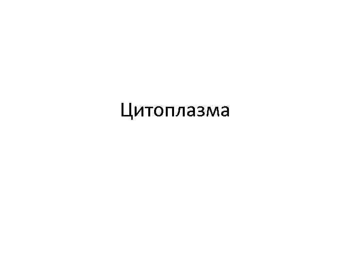 Цитоплазма 