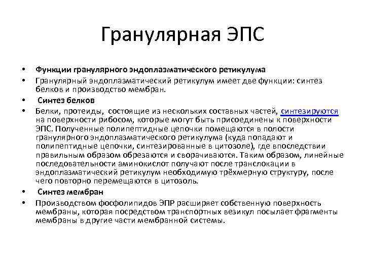 Гранулярная ЭПС • • • Функции гранулярного эндоплазматического ретикулума Гранулярный эндоплазматический ретикулум имеет две