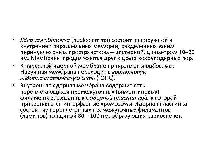  • Ядерная оболочка (nucleolemma) состоит из наружной и внутренней параллельных мембран, разделенных узким