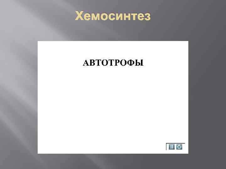 Хемосинтез 