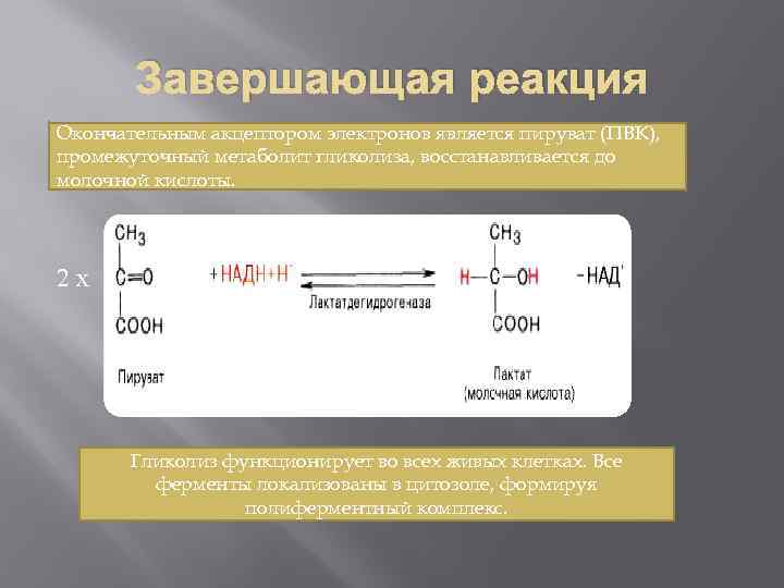 Завершающая реакция Окончательным акцептором электронов является промежуточный Окончательным акцептором электронов является ПВК, пируват (ПВК),