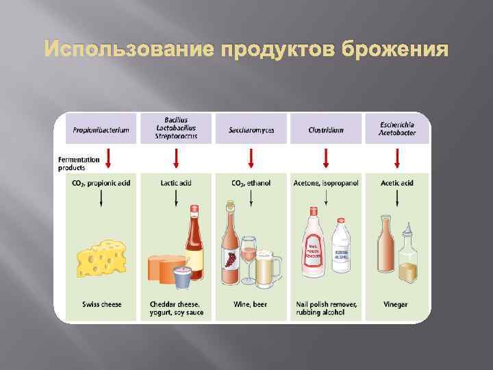 Процесс брожения. Продукты брожения. Продукты вызывающие брожение. Список продуктов вызывающие брожение. Использование продуктов брожения.