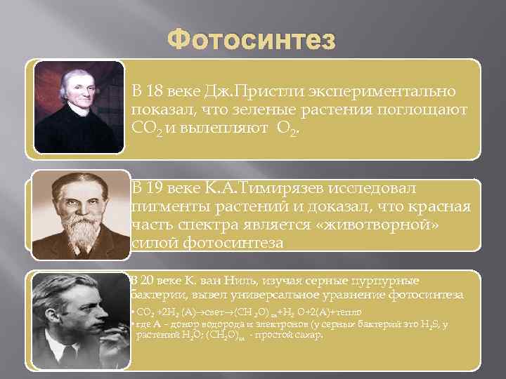 Фотосинтез В 18 веке Дж. Пристли экспериментально показал, что зеленые растения поглощают СО 2