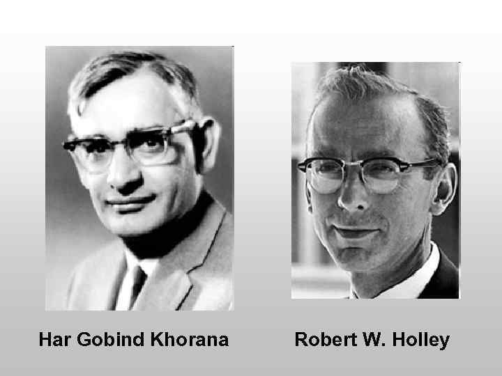 Har Gobind Khorana Robert W. Holley 