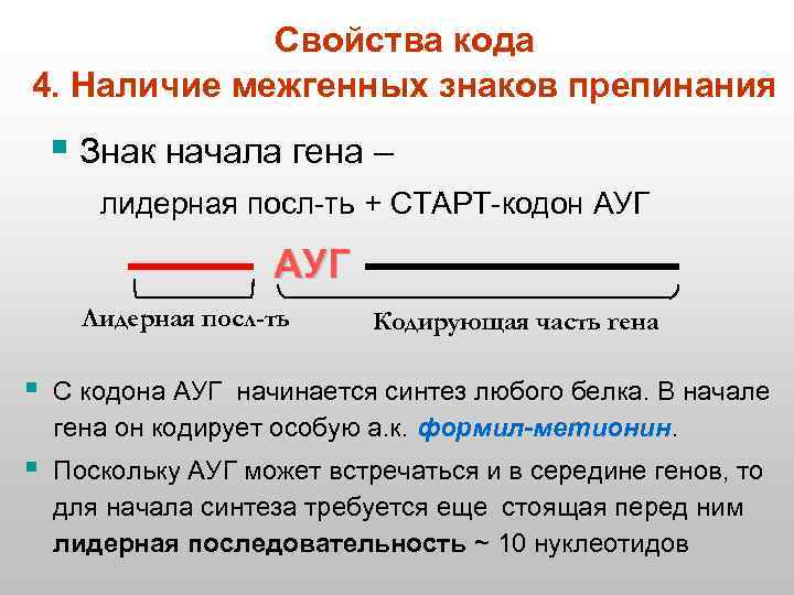 Свойства кода 4. Наличие межгенных знаков препинания § Знак начала гена – лидерная посл-ть