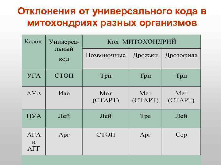 Отклонения от универсального кода в митохондриях разных организмов 