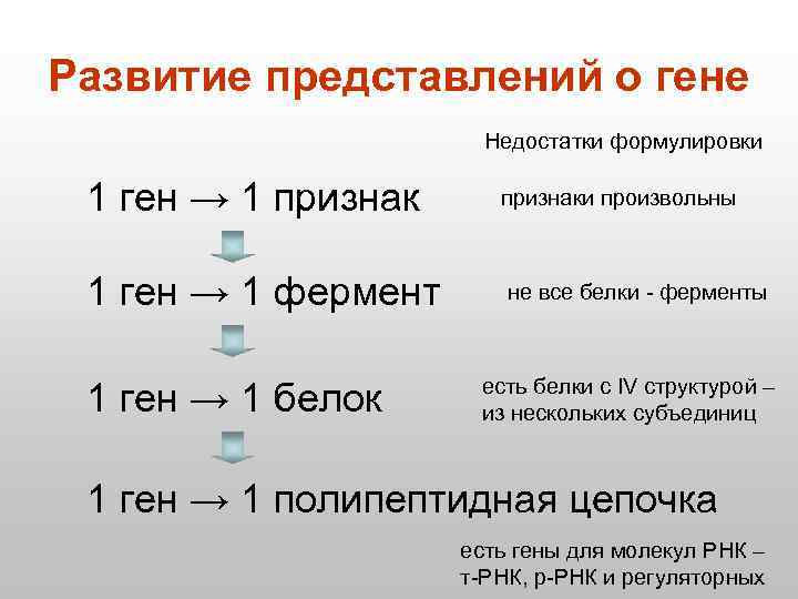 Развитие представлений о гене Недостатки формулировки 1 ген → 1 признаки произвольны 1 ген