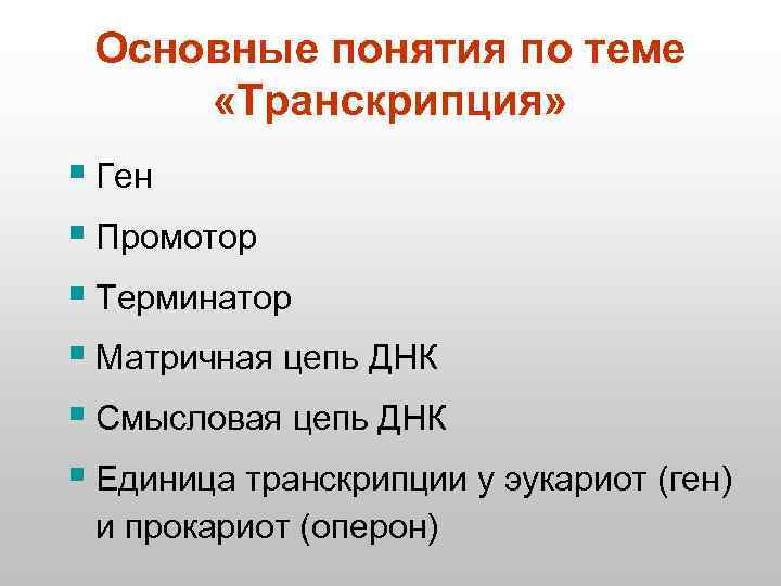 Основные понятия по теме «Транскрипция» § Ген § Промотор § Терминатор § Матричная цепь