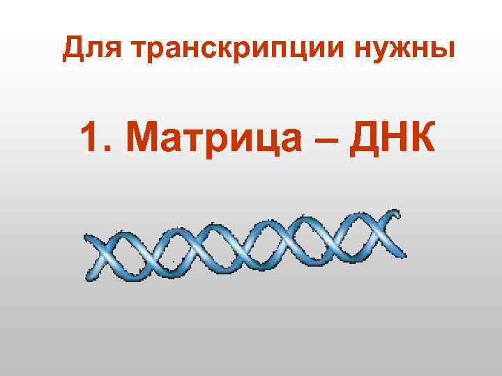 Для транскрипции нужны 1. Матрица – ДНК 