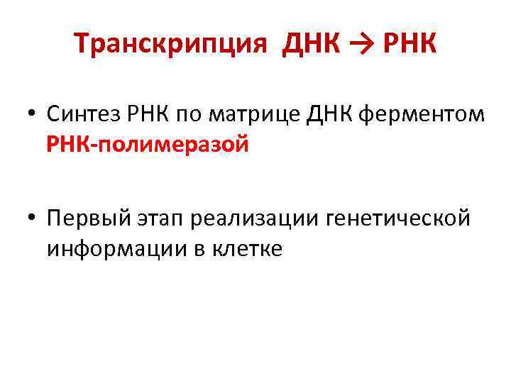 Транскрипция ДНК → РНК • Синтез РНК по матрице ДНК ферментом РНК-полимеразой • Первый