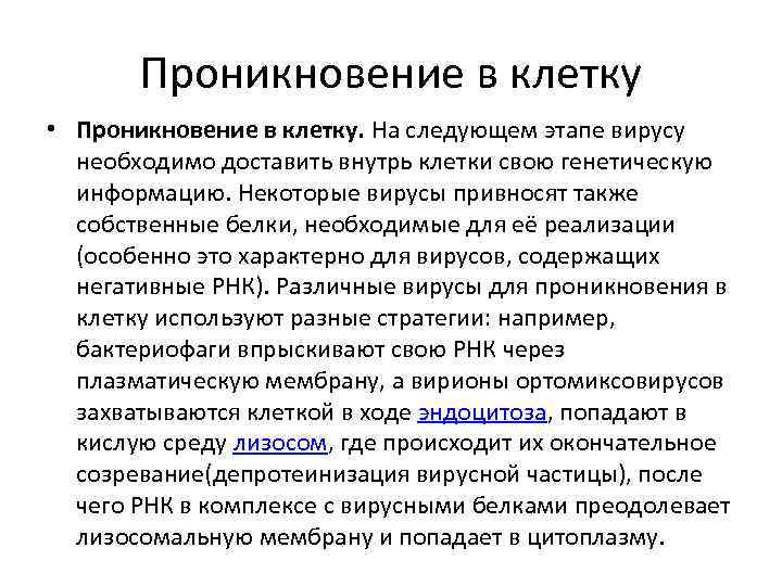 Проникновение в клетку • Проникновение в клетку. На следующем этапе вирусу необходимо доставить внутрь