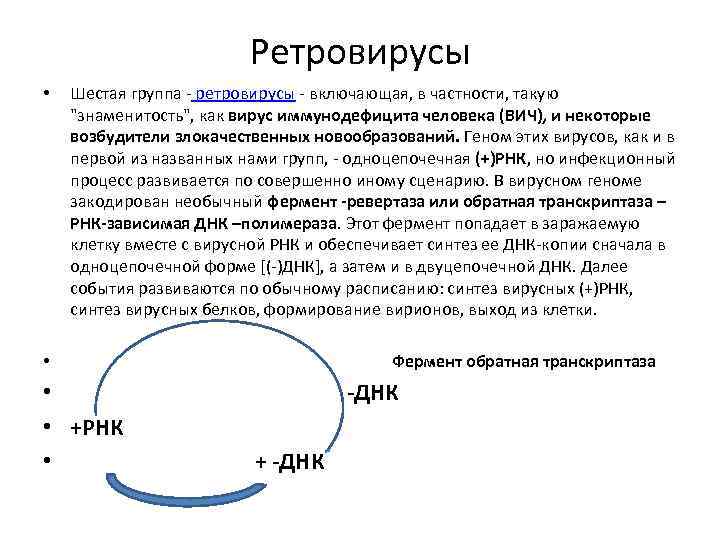 Ретровирусы • Шестая группа - ретровирусы - включающая, в частности, такую 