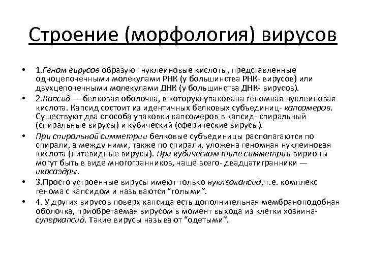 Строение (морфология) вирусов • • • 1. Геном вирусов образуют нуклеиновые кислоты, представленные одноцепочечными