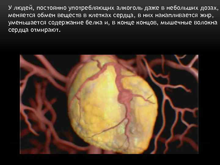 У людей, постоянно употребляющих алкоголь даже в небольших дозах, меняется обмен веществ в клетках