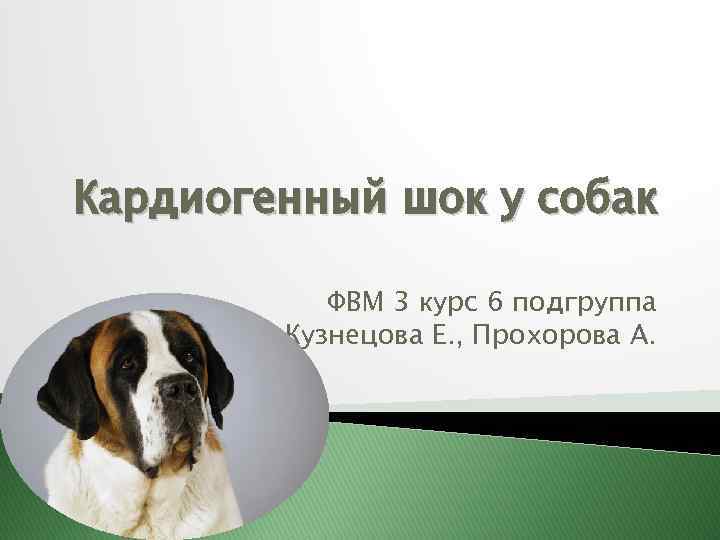 Кардиогенный шок у собак ФВМ 3 курс 6 подгруппа Кузнецова Е. , Прохорова А.