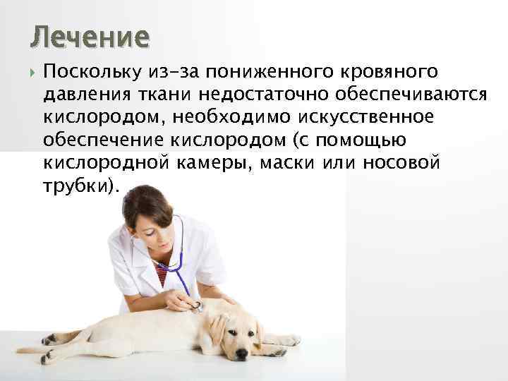 Лечение Поскольку из-за пониженного кровяного давления ткани недостаточно обеспечиваются кислородом, необходимо искусственное обеспечение кислородом