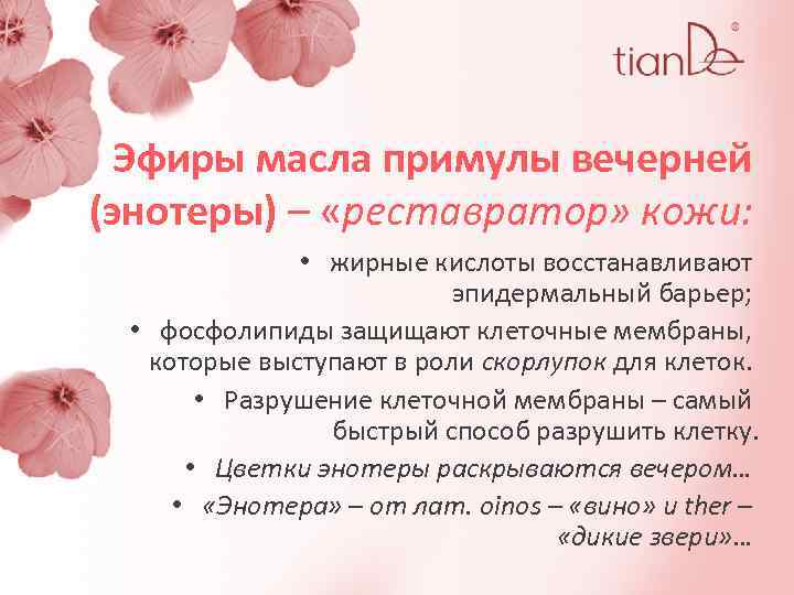 Эфиры масла примулы вечерней (энотеры) – «реставратор» кожи: • жирные кислоты восстанавливают эпидермальный барьер;