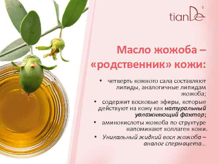 Масло жожоба – «родственник» кожи: • четверть кожного сала составляют липиды, аналогичные липидам жожоба;