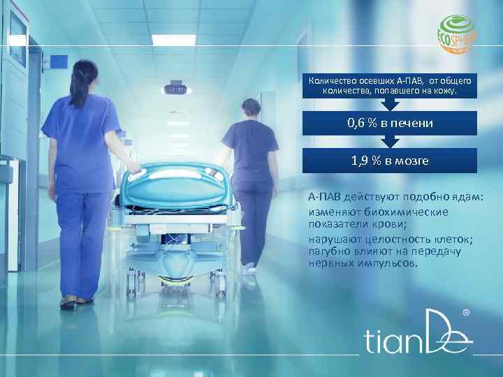 Количество осевших А-ПАВ, от общего количества, попавшего на кожу. 0, 6 % в печени