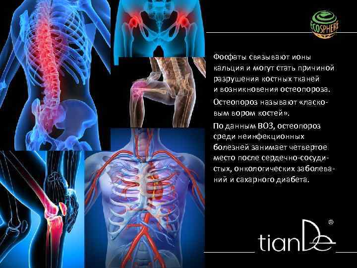 Фосфаты связывают ионы кальция и могут стать причиной разрушения костных тканей и возникновения остеопороза.