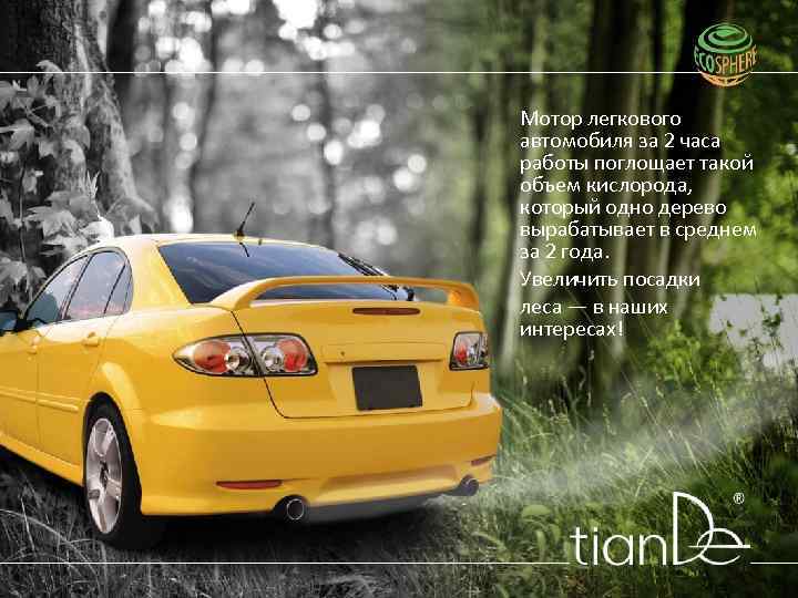 Мотор легкового автомобиля за 2 часа работы поглощает такой объем кислорода, который одно дерево