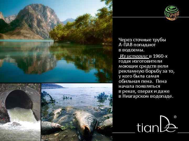 Через сточные трубы А-ПАВ попадают в водоемы. Из истории: в 1960 -х годах изготовители