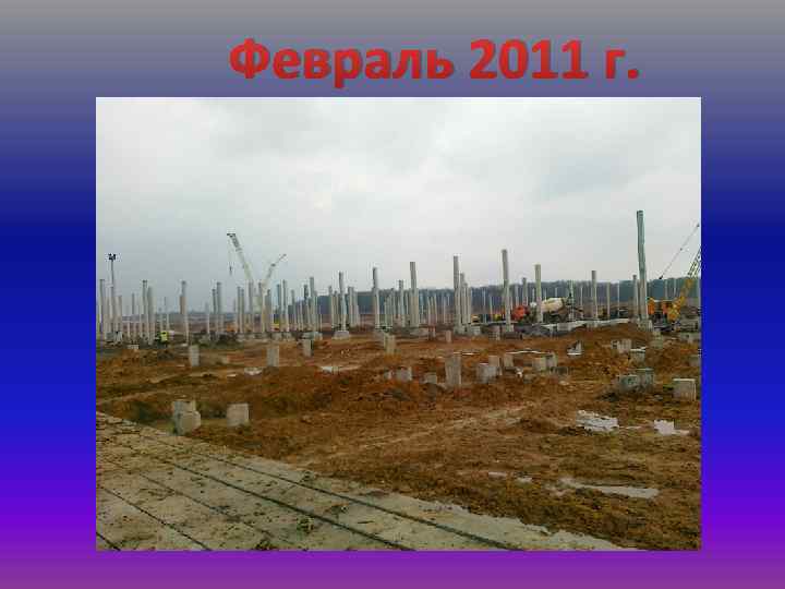 Февраль 2011 г. 