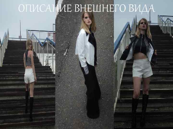 ОПИСАНИЕ ВНЕШНЕГО ВИДА 