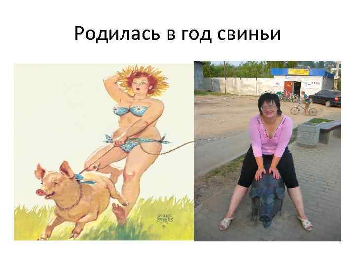 Родилась в год свиньи 