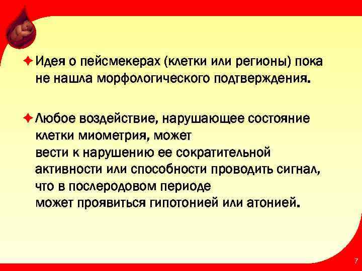 è Идея о пейсмекерах (клетки или регионы) пока не нашла морфологического подтверждения. è Любое