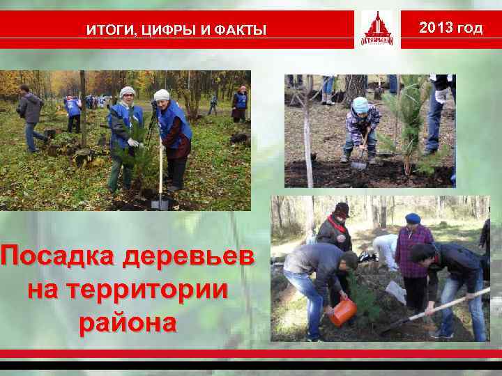 ИТОГИ, ЦИФРЫ И ФАКТЫ Посадка деревьев на территории района 2013 год 