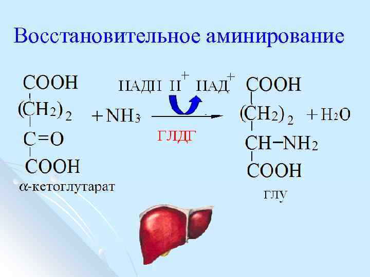 Восстановительное аминирование 