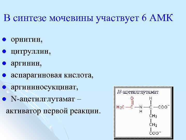 В синтезе мочевины участвует 6 АМК орнитин, l цитруллин, l аргинин, l аспарагиновая кислота,