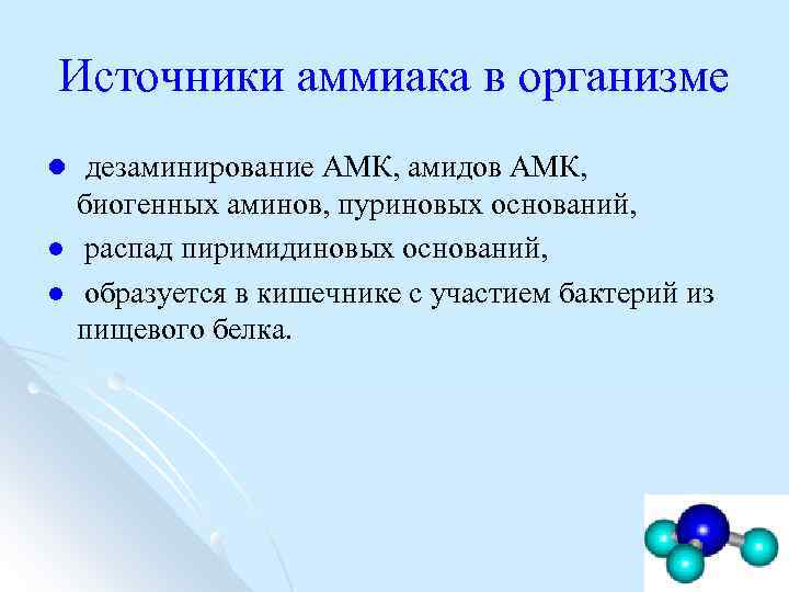 Источники аммиака в организме l дезаминирование АМК, амидов АМК, l l биогенных аминов, пуриновых