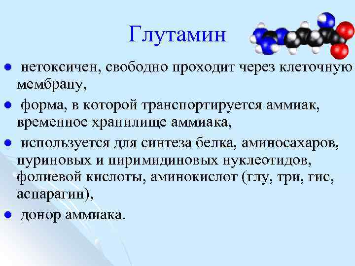 Глутамин нетоксичен, свободно проходит через клеточную мембрану, l форма, в которой транспортируется аммиак, временное