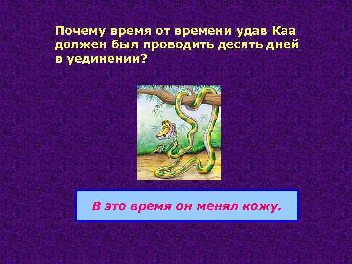 Почему время от времени удав Каа должен был проводить десять дней в уединении? В