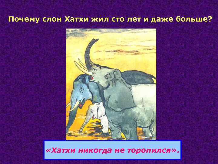 Почему слон Хатхи жил сто лет и даже больше? «Хатхи никогда не торопился» .