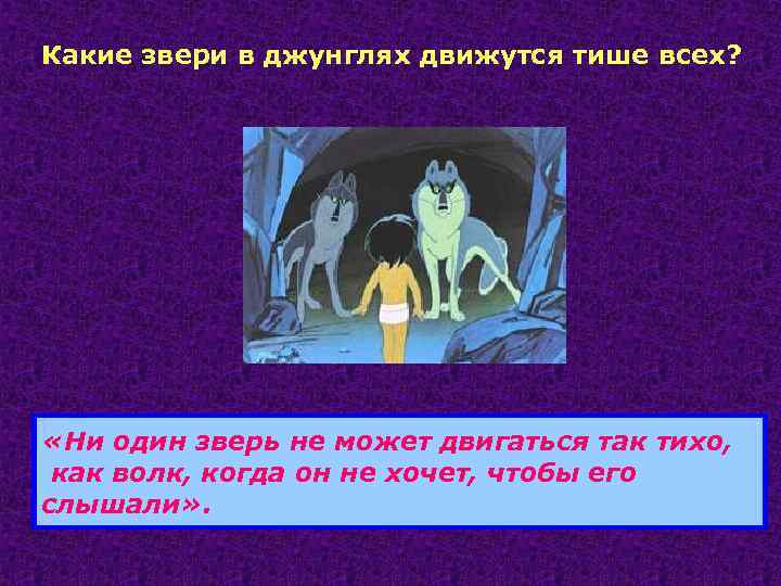 Какие звери в джунглях движутся тише всех? «Ни один зверь не может двигаться так