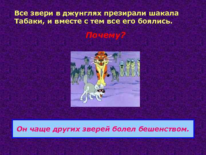 Все звери в джунглях презирали шакала Табаки, и вместе с тем все его боялись.