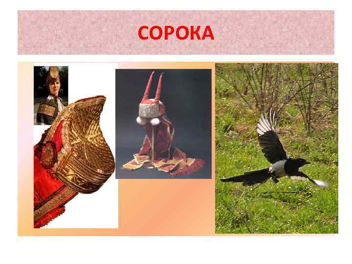 СОРОКА 