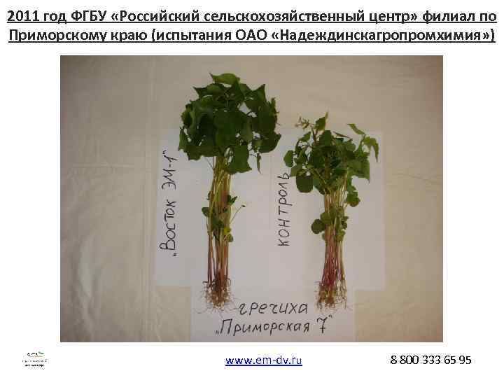 2011 год ФГБУ «Российский сельскохозяйственный центр» филиал по Приморскому краю (испытания ОАО «Надеждинскагропромхимия» )