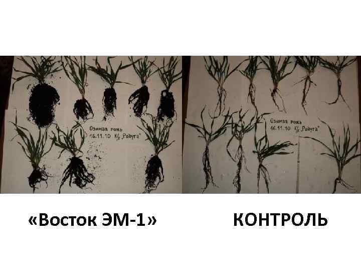  «Восток ЭМ-1» КОНТРОЛЬ 