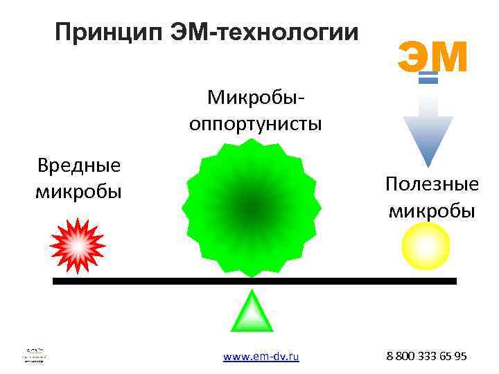 Принцип ЭМ-технологии Микробыоппортунисты Вредные микробы ЭM Полезные микробы www. em-dv. ru 8 800 333