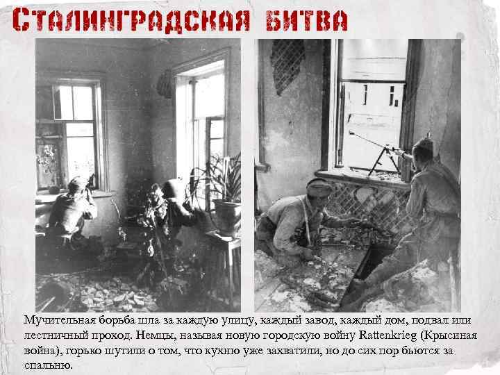 Мучительная борьба шла за каждую улицу, каждый завод, каждый дом, подвал или лестничный проход.