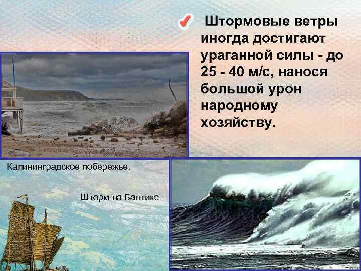  • Штормовые ветры иногда достигают ураганной силы - до 25 - 40 м/с,