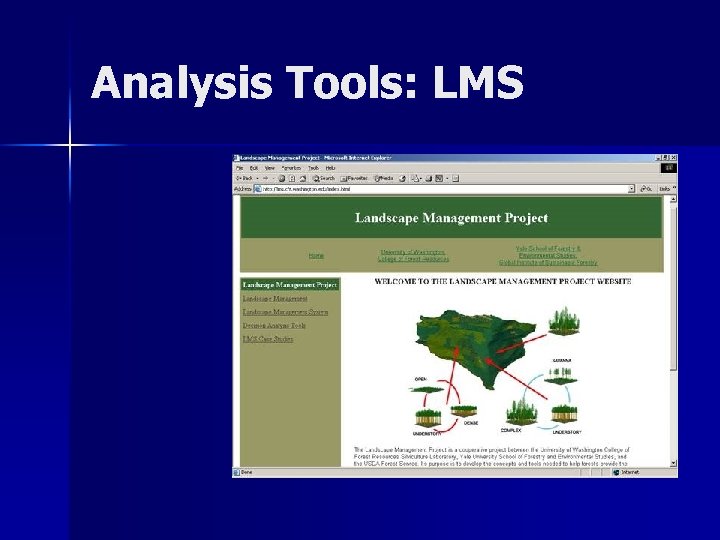 Analysis Tools: LMS 