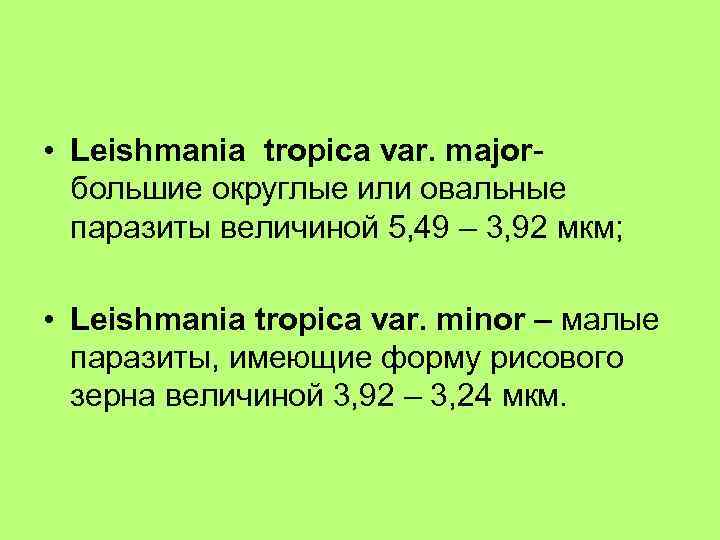  • Leishmania tropica var. majorбольшие округлые или овальные паразиты величиной 5, 49 –