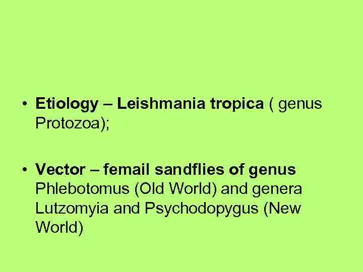  • Etiology – Leishmania tropica ( genus Protozoa); • Vector – femail sandflies