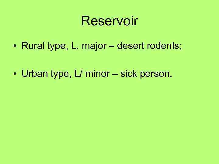 Reservoir • Rural type, L. major – desert rodents; • Urban type, L/ minor