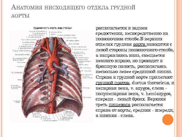 Карта аорты